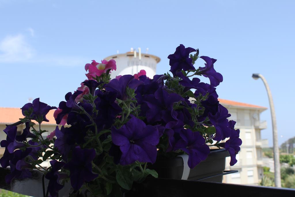 Nine Senses Hotel Furadouro Bagian luar foto